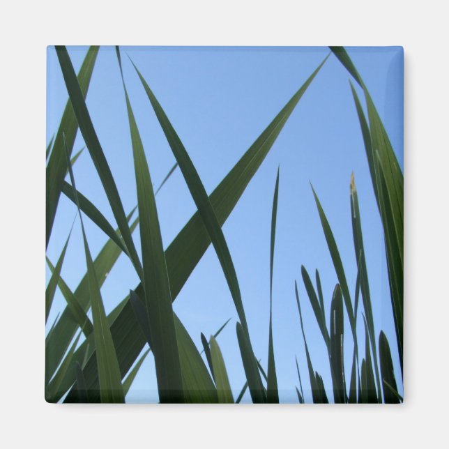 Grass Magnet (Vorne)
