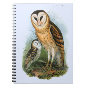 Grass Owl Notebook (80 Seiten B&W) Notizblock