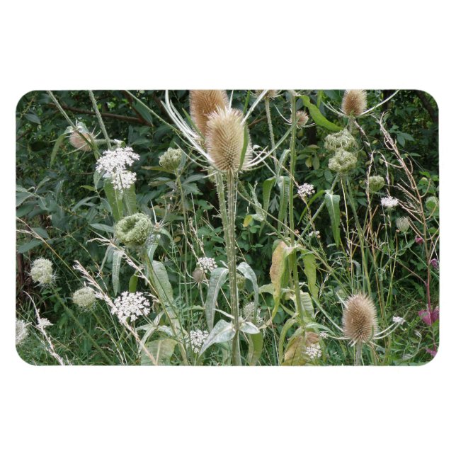 Grass Premium Magnet (Horizontal)