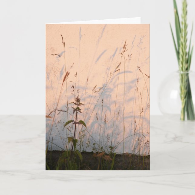 Grass Shadows Karte (Vorderseite)