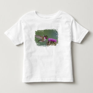 Grasschwanz Hummingbird, Selasphorus Kleinkind T-shirt