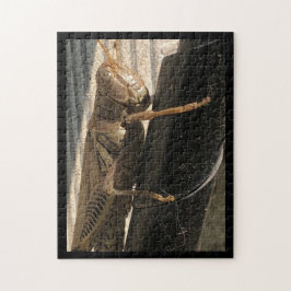 Grasshopper