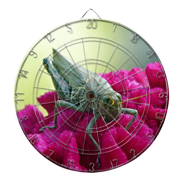 Grasshopper auf dem Cockscomb Dartscheibe (vorne)