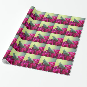 Grasshopper auf dem Cockscomb Geschenkpapier