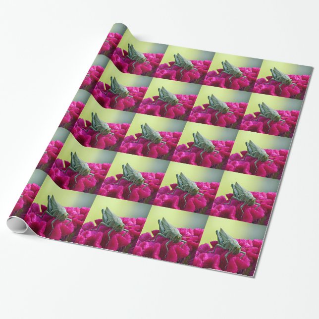 Grasshopper auf dem Cockscomb Geschenkpapier (Ungerollt)