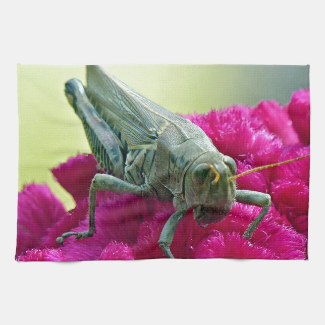 Grasshopper auf dem Cockscomb Handtuch (Horizontal)