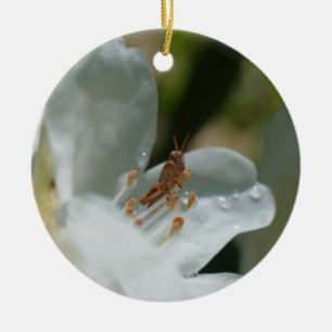 Grasshopper auf der Blume White Azalea Keramik Ornament