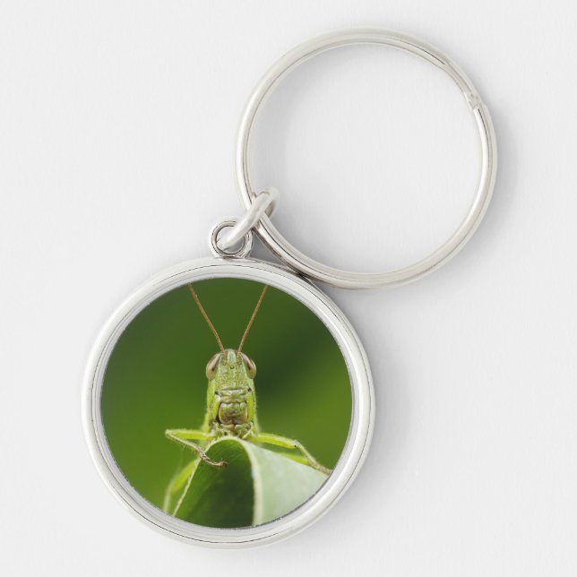 Grasshopper auf Leaf, Grasshopper-Gesicht Nah-up Schlüsselanhänger (Vorne)