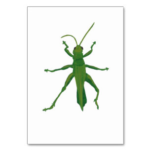 Grasshopper benutzerdefinierte Insektenlesekarten Tischnummer