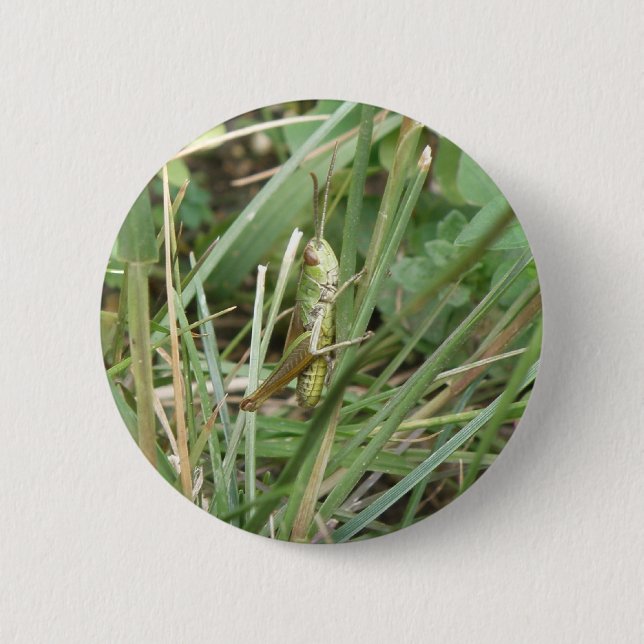 Grasshopper Camouflage Button (Vorderseite)