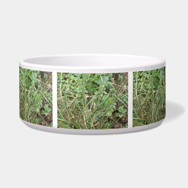 Grasshopper Camouflage Dog Bowl Napf (Vorderseite)