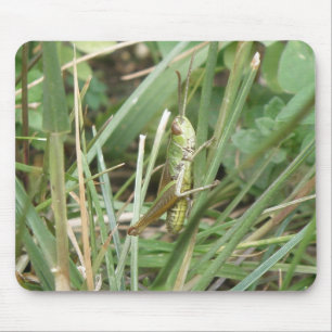 Grasshopper Camouflage Mousepad