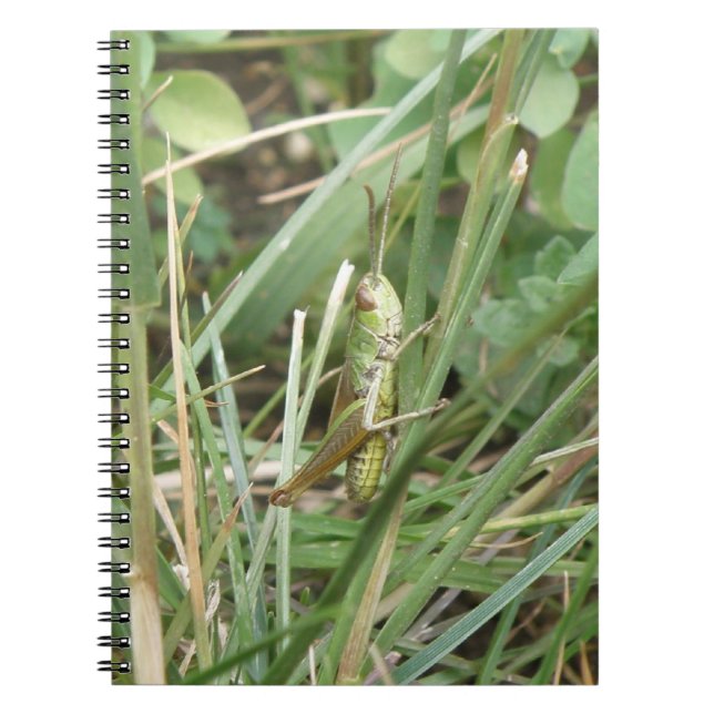 Grasshopper Camouflage Notebook Notizblock (Vorderseite)