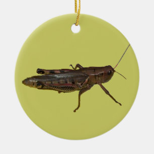 Grasshopper-Design Keramik Ornament