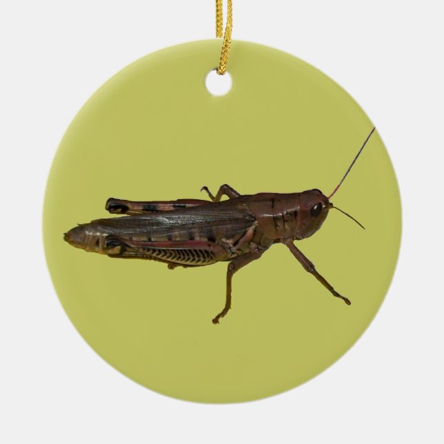 Grasshopper-Design Keramikornament (Vorne)