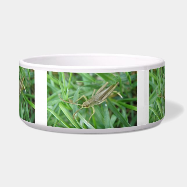 Grasshopper Dog Bowl Napf (Vorderseite)