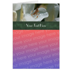 Grasshopper Et Carte photo Floral Azalea