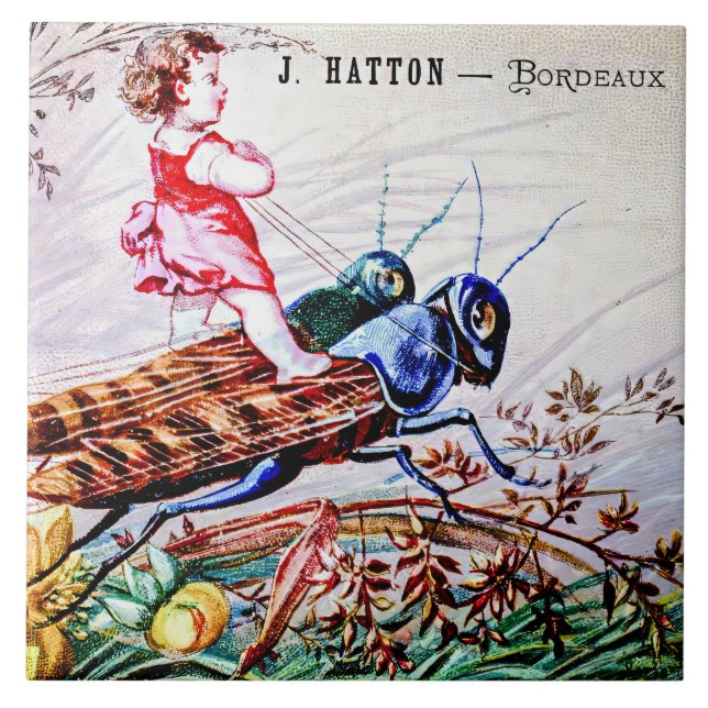 Grasshopper für Kinder Fliese (Vorderseite)