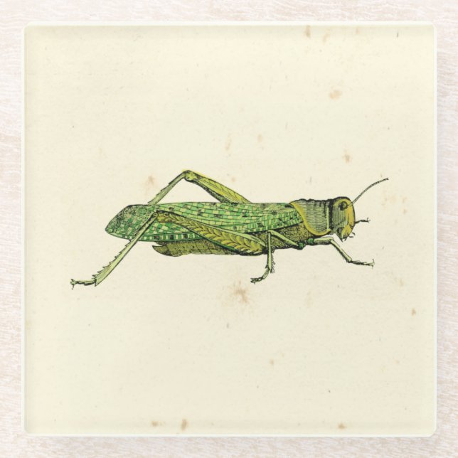 Grasshopper in der Printwerbung Glasuntersetzer (Vorderseite)