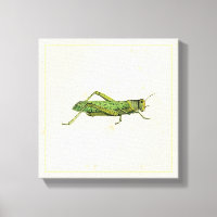 Grasshopper in der Printwerbung