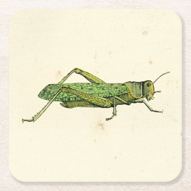 Grasshopper in der Printwerbung Rechteckiger Pappuntersetzer (Vorderseite)