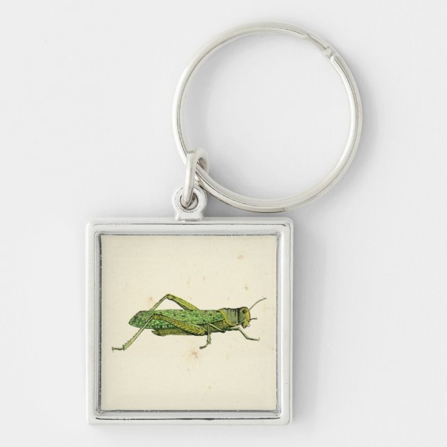 Grasshopper in der Printwerbung Schlüsselanhänger (Vorne)