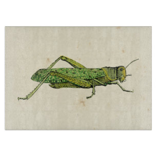 Grasshopper in der Printwerbung Schneidebrett