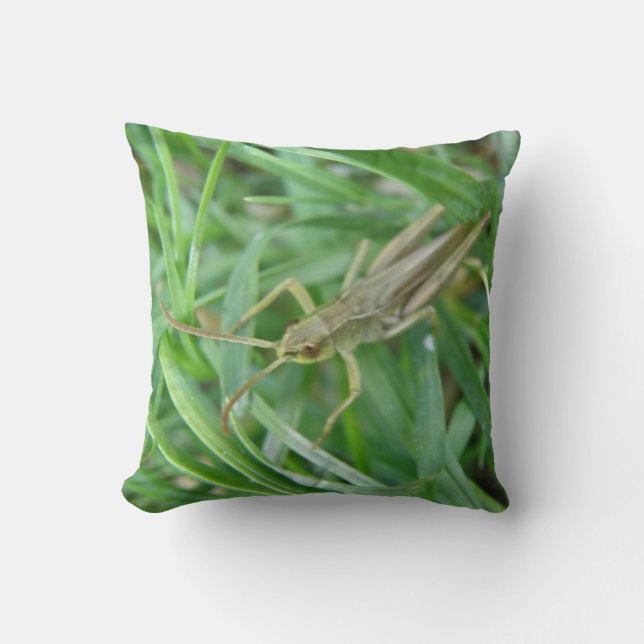 Grasshopper Kissen (Vorderseite)