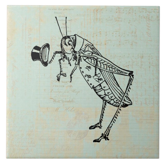 Grasshopper mit Top Hat Fliese (Vorderseite)