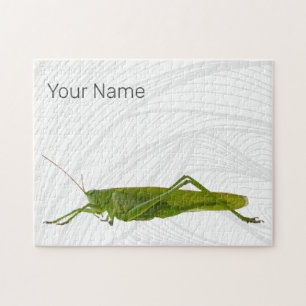 Grasshopper oder Retro-Insekt