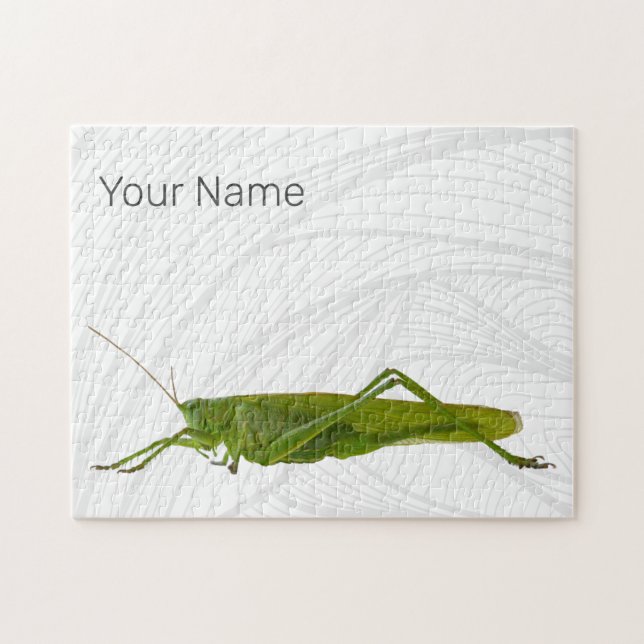 Grasshopper oder Retro-Insekt (Horizontal)