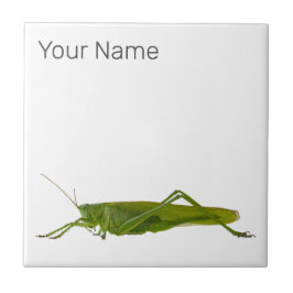 Grasshopper oder Retro-Insekt Fliese