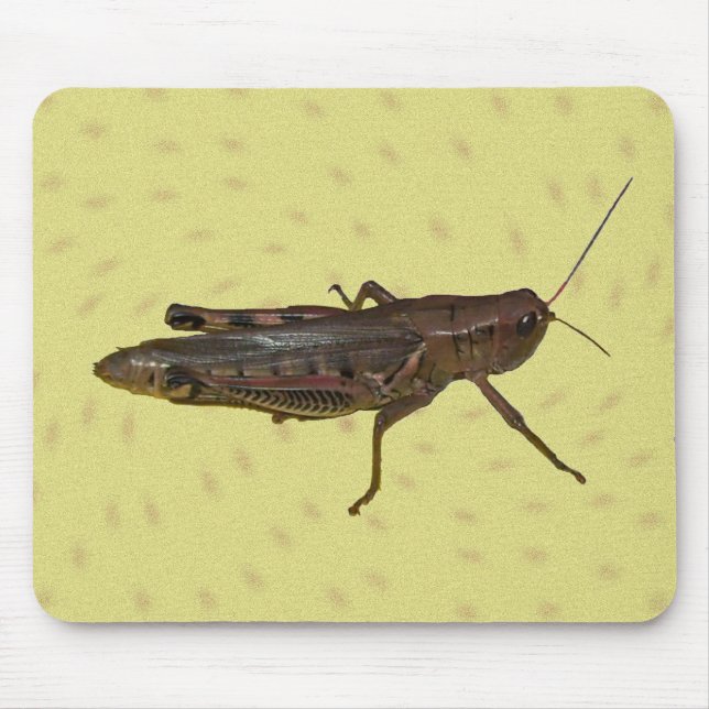 Grasshopper Pad Mousepad (Vorne)