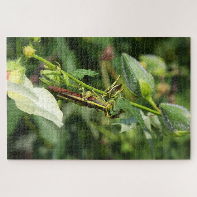 Grasshopper Pair 2 (Horizontal)