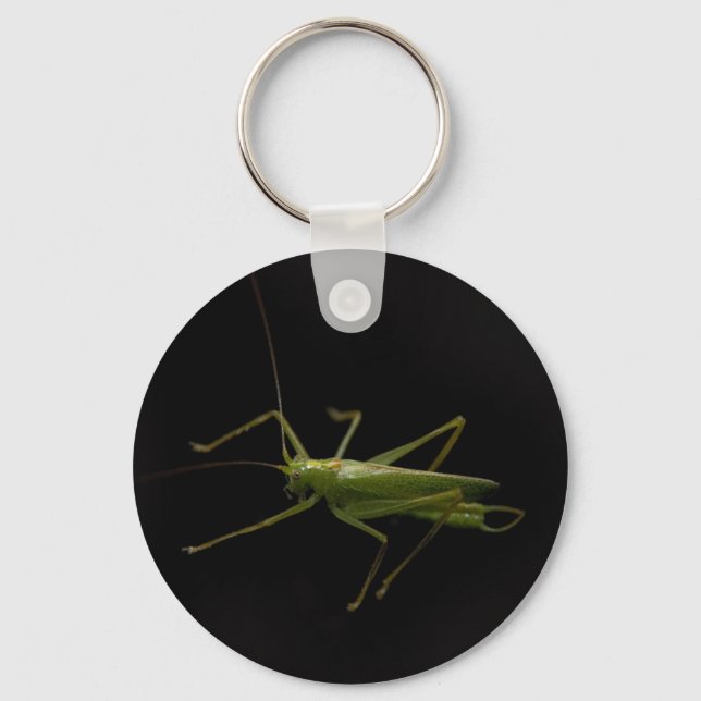Grasshopper Schlüsselanhänger (Vorderseite)