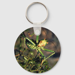 Grasshopper Schlüsselanhänger