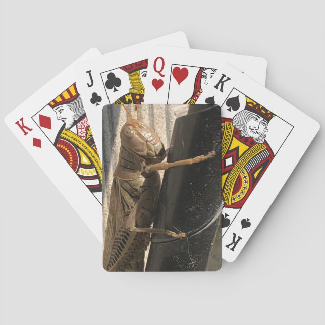Grasshopper Spielkarten (Rückseite)