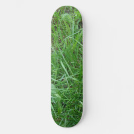 Grasskateboard Skateboard