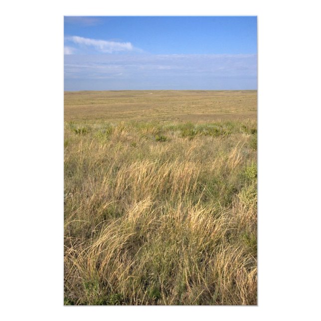 Grassland Prärie östlich von Sidney, Nebraska. Fotodruck (Vorne)