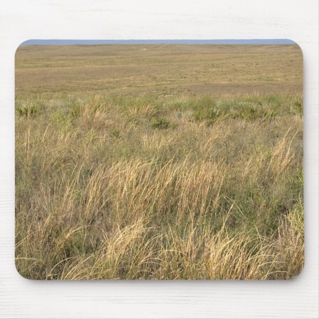 Grassland Prärie östlich von Sidney, Nebraska. Mousepad (Vorne)