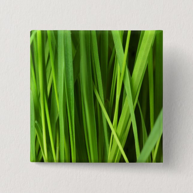 Grasstrahlen Button (Vorderseite)