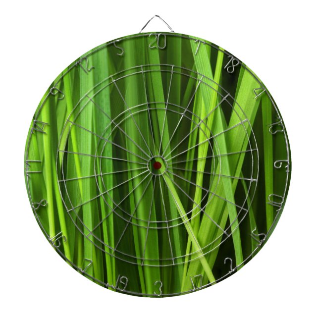 Grasstrahlen Dartscheibe (vorne)
