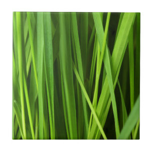 Grasstrahlen Fliese