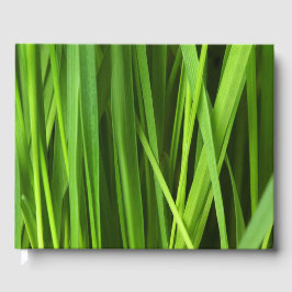Grasstrahlen Gästebuch