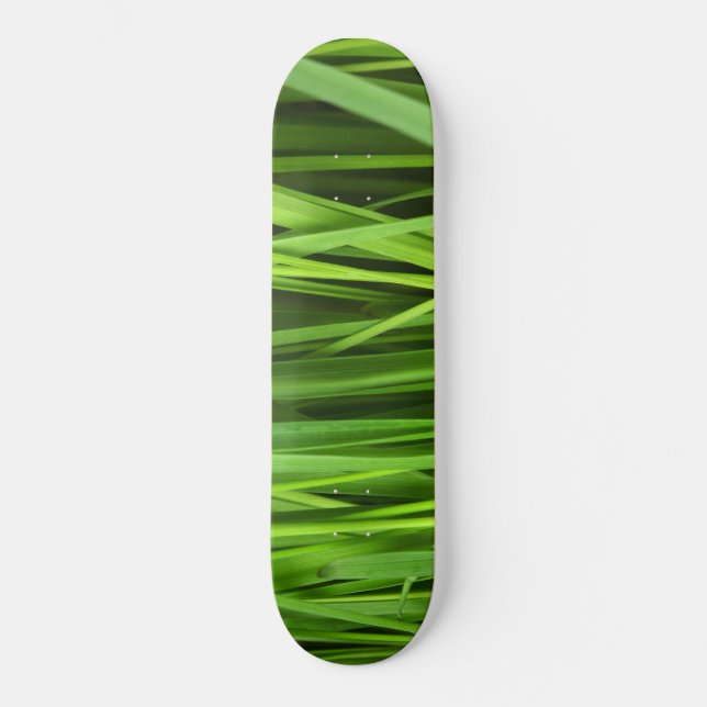 Grasstrahlen Skateboard (Vorderseite)