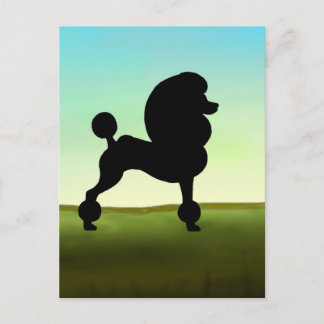 Grassy Field Standard Poodle Postkarte