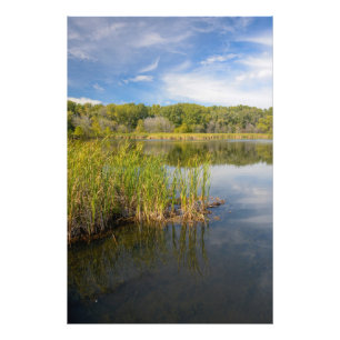 Grassy Lake Fotodruck