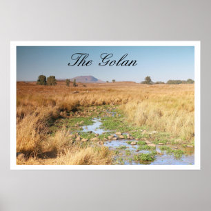 Grassy Plateau and Stream, Golanhöhen, Israel Poster