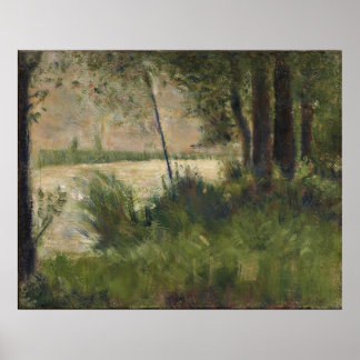 Grassy Riverbank Poster