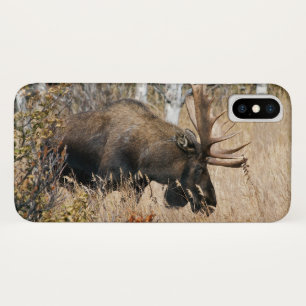Graszierender Bull-Elch Case-Mate iPhone Hülle